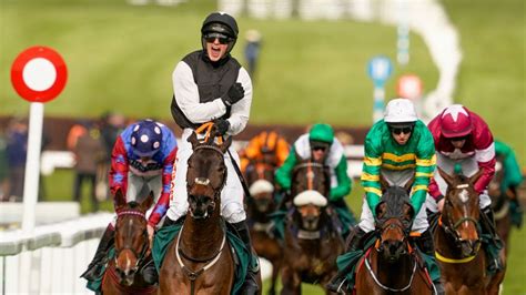 bookie offers cheltenham|Best bookmaker offers: how to make the most of your 2023 .